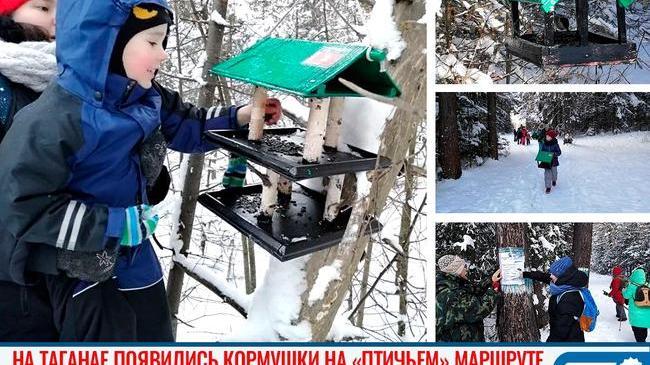 🦅 На Таганае появились кормушки на «птичьем» маршруте 