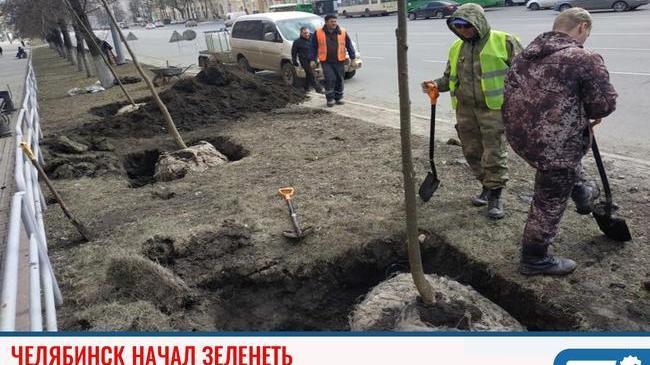 🌳 В Челябинске началось масштабное озеленение 