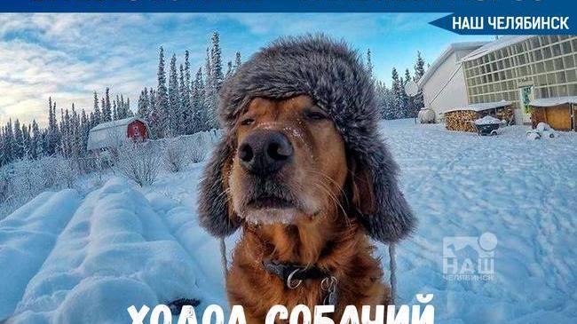 🥶 На Южном Урале снежный буран сменился сильными морозами. 