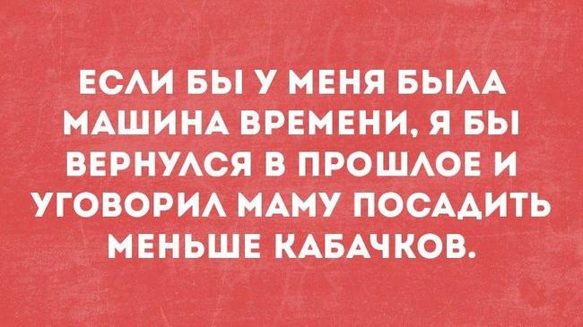 Если бы у меня была машина времени...