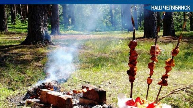 ❗В Челябинской области с 24 апреля введен особый противопожарный режим 🔥.