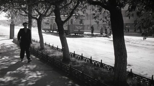 Улица Цвиллинга, 1950 год