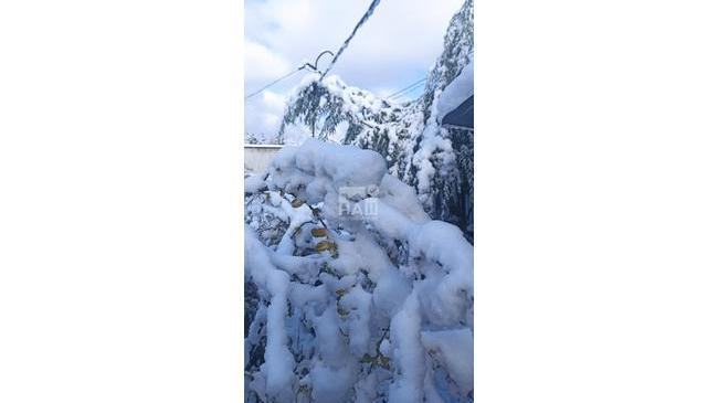 ❄ Снежными кадрами делится наш читатель из области