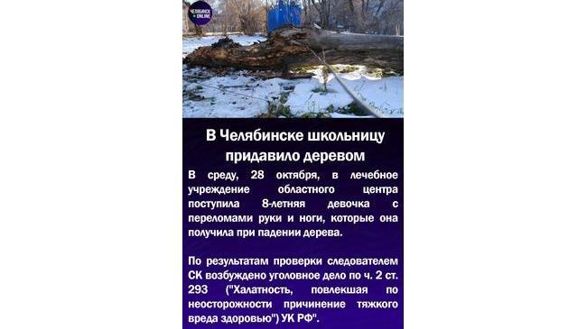 😱В Челябинске школьницу придавило деревом