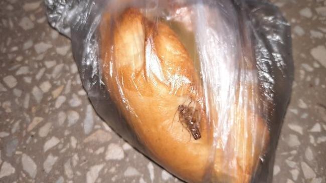 Пирожки с ножками. Жительнице Челябинска купила выпечку с живой начинкой