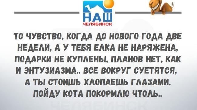 🎄 То чувство, когда до Нового года осталось две недели... А у вас так же?