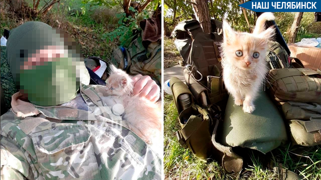 🐈 Южноуральский боец спас котенка, которого нашел во время выполнения боевой задачи