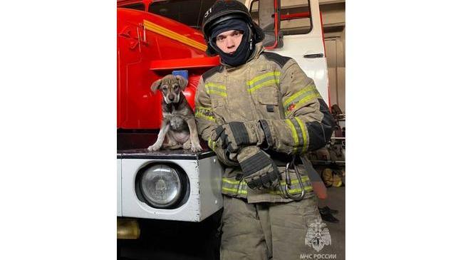 🥰 Новый сотрудник присоединился к троицким пожарным