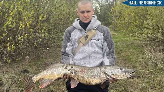 🐟 Челябинец поймал семикилограммовую щуку в центре города