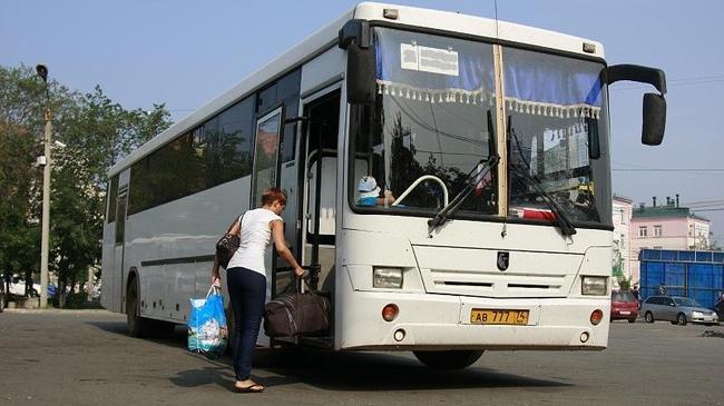 Вперёд, к лошадкам: доехать до «Рифея» теперь можно на городских автобусах