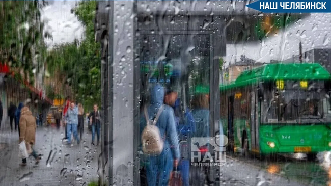 ☔️ Почти месячная норма осадков выпала в первую декаду июня