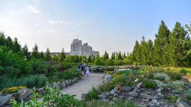 Цветущий ЧелГУ 🌸