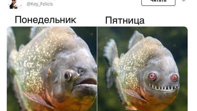 😄😄😄