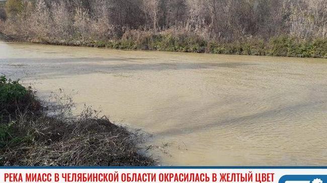 ❗ Южноуральцев напугал желтый окрас реки Миасс 🤔
