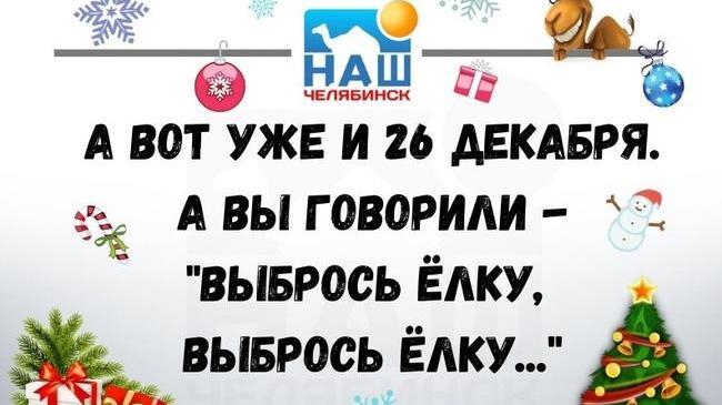 😄 Действительно! 🎄 А когда вы обычно убираете новогоднюю елочку?