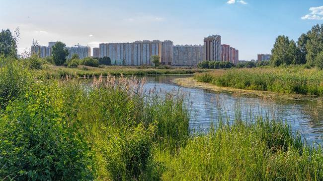 С добрым утром, челябинцы! 😊 Как настроение ? 😉 