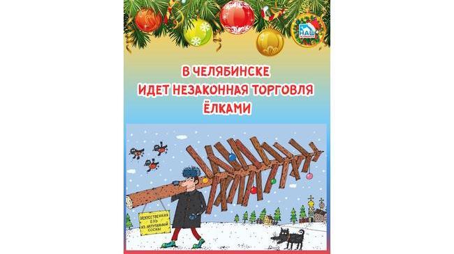 ❗ Незаконная торговля ёлками в Челябинске уже идёт 🎄