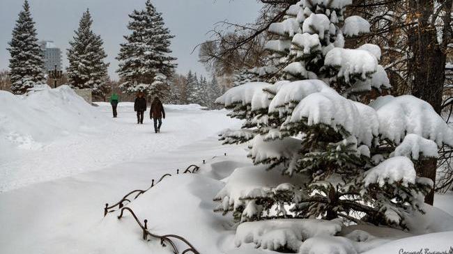 Зимняя сказка в Челябинске 😊❄🌲