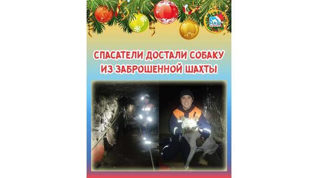 🔦 Собаку спасли из заброшенной штольни в Челябинской области 
