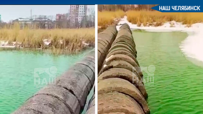💧 В Челябинске на озере Смолино позеленел целый участок воды. Горожане поделились в соцсетях кадрами воды яркого цвета. 
