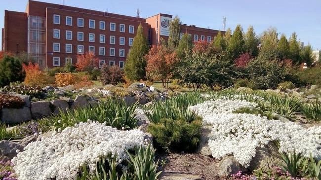 Золотая осень в саду ЧелГУ 