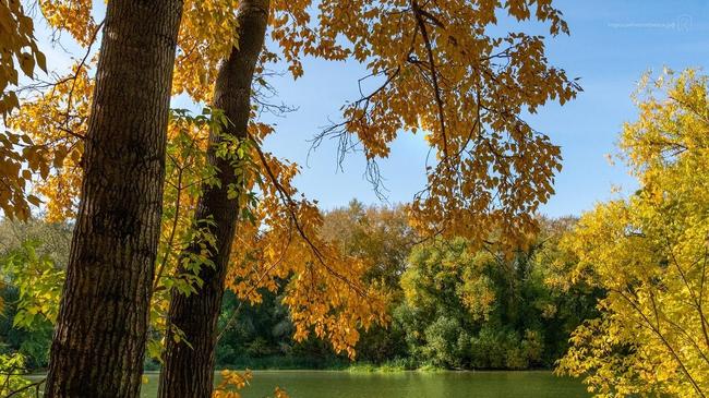 🍁 Золотая осень у Заячьего острова. Расскажите, как прошел ваш сентябрь?