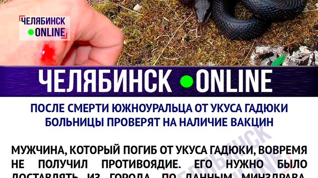 Теперь все больницы области чиновники собираются проверить на наличие вакцин от укусов змей🐍