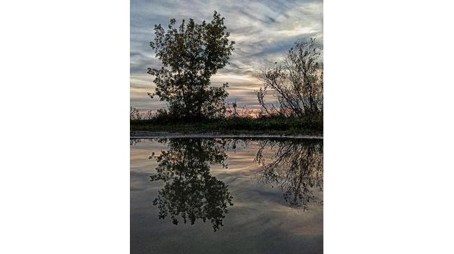 Сентябрь .Шершни. Закат в отражении