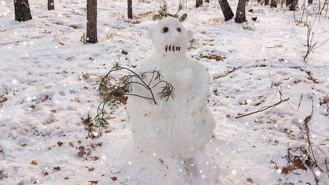 Челябинские снеговики ❄⛄