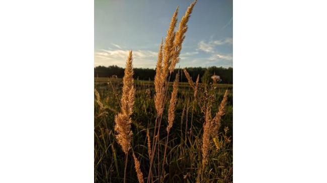 ☀ ​Воскресное солнце осени. Как проводите выходные? 😉