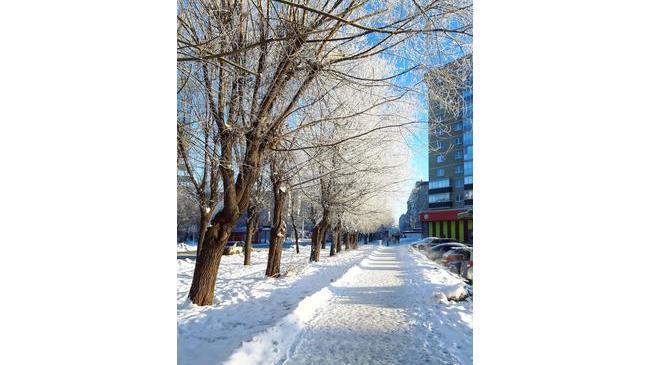 Зимнее кружево на деревьях ❄☺