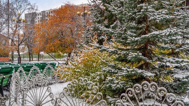 Доброе утро, друзья☕ А вот и пятница! Как проведете сегодняшний день?