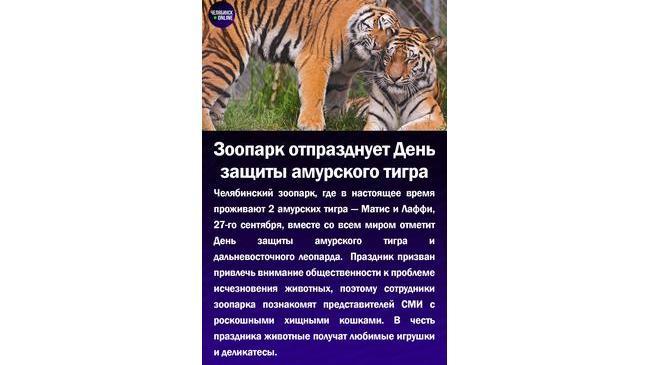 🐅Зоопарк отпразднует День защиты амурского тигра