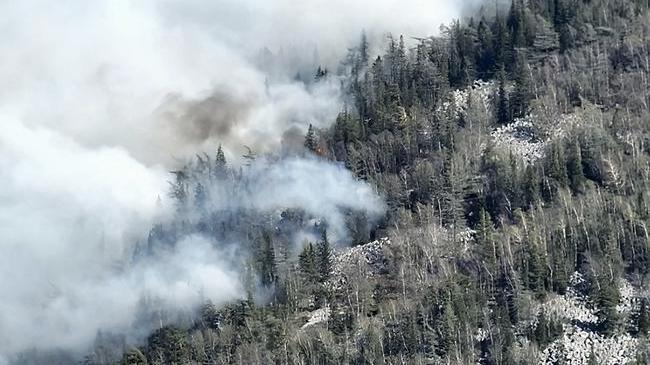🔥 Больше тысячи гектаров леса уничтожил пожар в нацпарке «Зигальга»