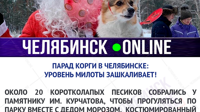 ❄ Корги-бабочки и корги-зайцы: в Челябинске устроили костюмированный парад самых милых собак 🐕 🛷
