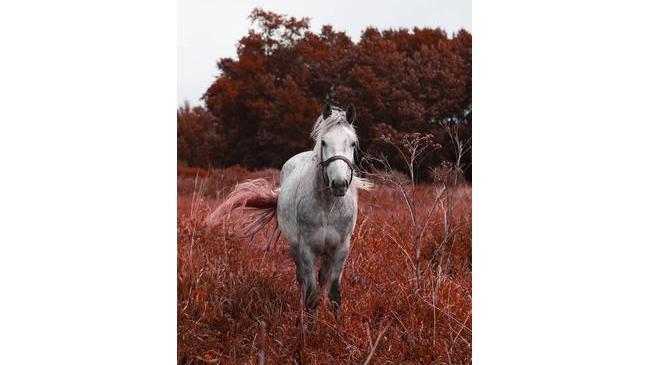 Доброе утро, Челябинск ☕️ Всех с пятницей ✌️ Фото: mendeleev174