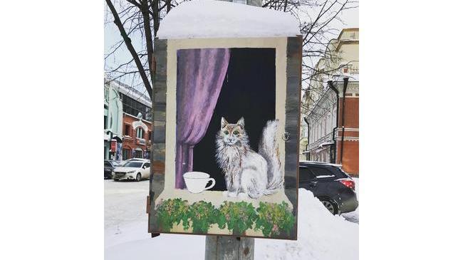 Котики в Челябинске 😽