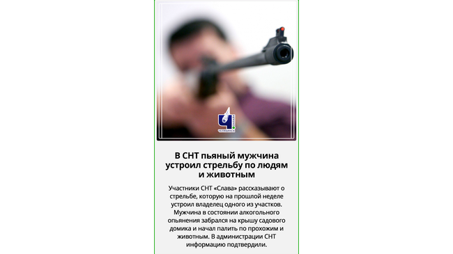 😱 В челябинском СНТ пьяный мужчина залез на крышу и устроил стрельбу по людям и животным