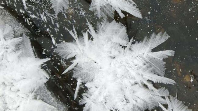 ❄️ Посетители национального парка «Зигальга» увидели ледяные цветы