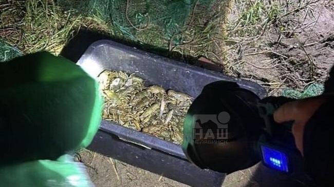 🦞Челябинец пойман с 245 раками