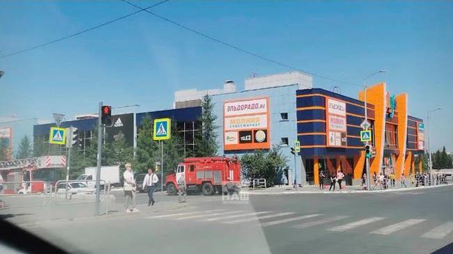 приехали все службы, двор оцеплен по кругу. 