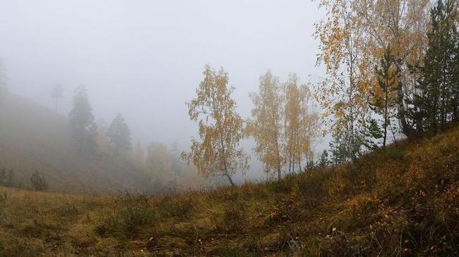 🍂 Атмосферный туман на южноуральских склонах.