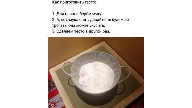 Хозяюшке на заметку: