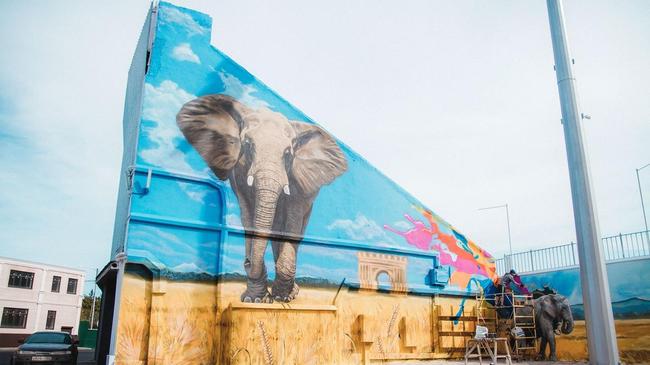 Слон на трибуне и воздушные шары: художники из Челябинска расписали стадион в Ставрополе