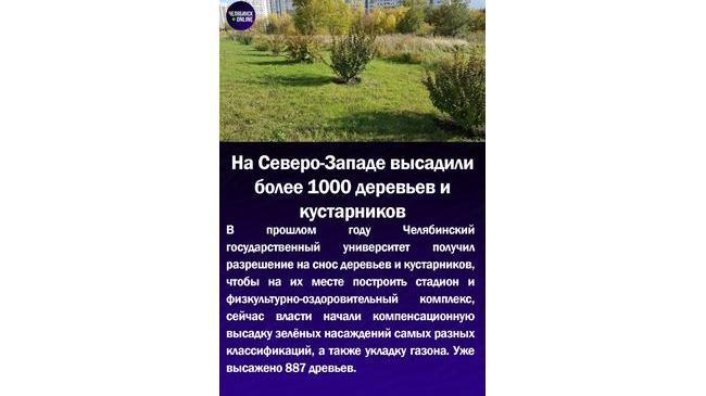 🌱На Северо-Западе высадили более 1000 деревьев и кустарников