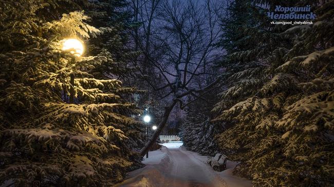 🌜 Доброй ночи, друзья! Как прошли выходные?