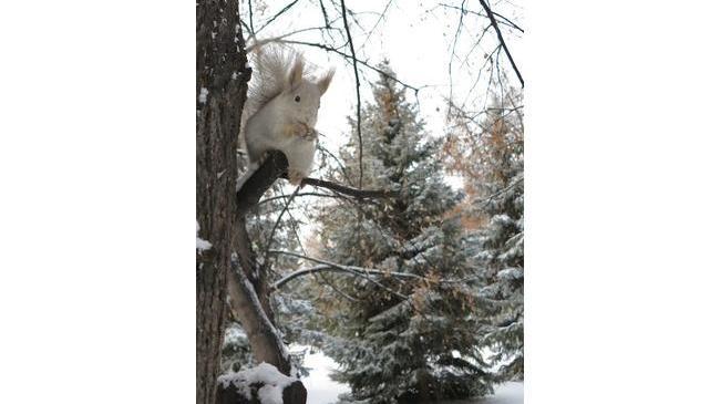 Доброго снежного утра, челябинцы ✌🏻 Как вам погода за окном?