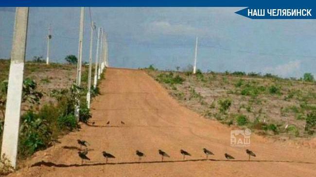 🌡☀ Из-за аномальной жары в Челябинской и Курганской областях ввели ограничение на движение большегрузов.