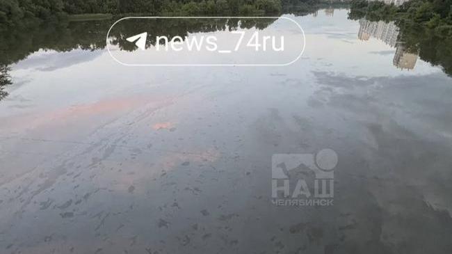 🌊 На реке Миасс опять заметили странные масляные пятна