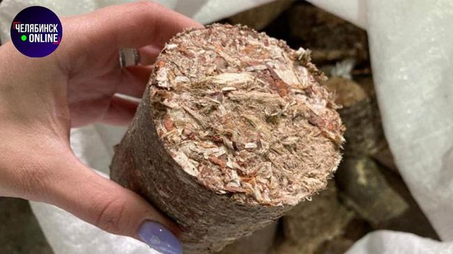 🎄 В Челябинске будут перерабатывать елки в евродрова.